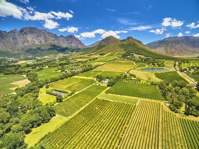 Cape Winelands